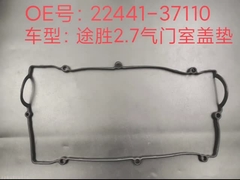 de pakking van de klepdekking