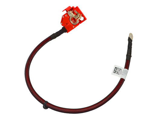 Batterijkabel Kleur Zwart Goede stabiliteit Pak voor verschillende auto's OE: # 61128796040