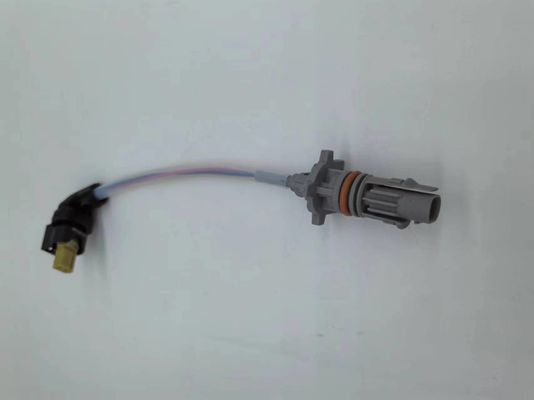 Op maat gemaakte oliepomp bedradingsband industriële bedradingsband zwart 2 pin OE:2741508602