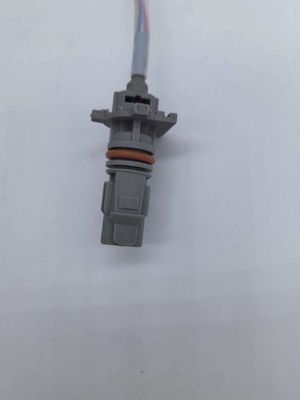Op maat gemaakte oliepomp bedradingsband industriële bedradingsband zwart 2 pin OE:2741508602