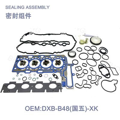 Engine Gasket Set Repair Kit    OE：DXB-B48-XK    For B48
